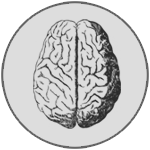 brain-alzheimers.png